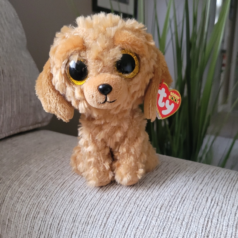 Ty Beanie Boos 6" NOODLES Golden Doodle Dog Plush Animal Toy NEW with He…